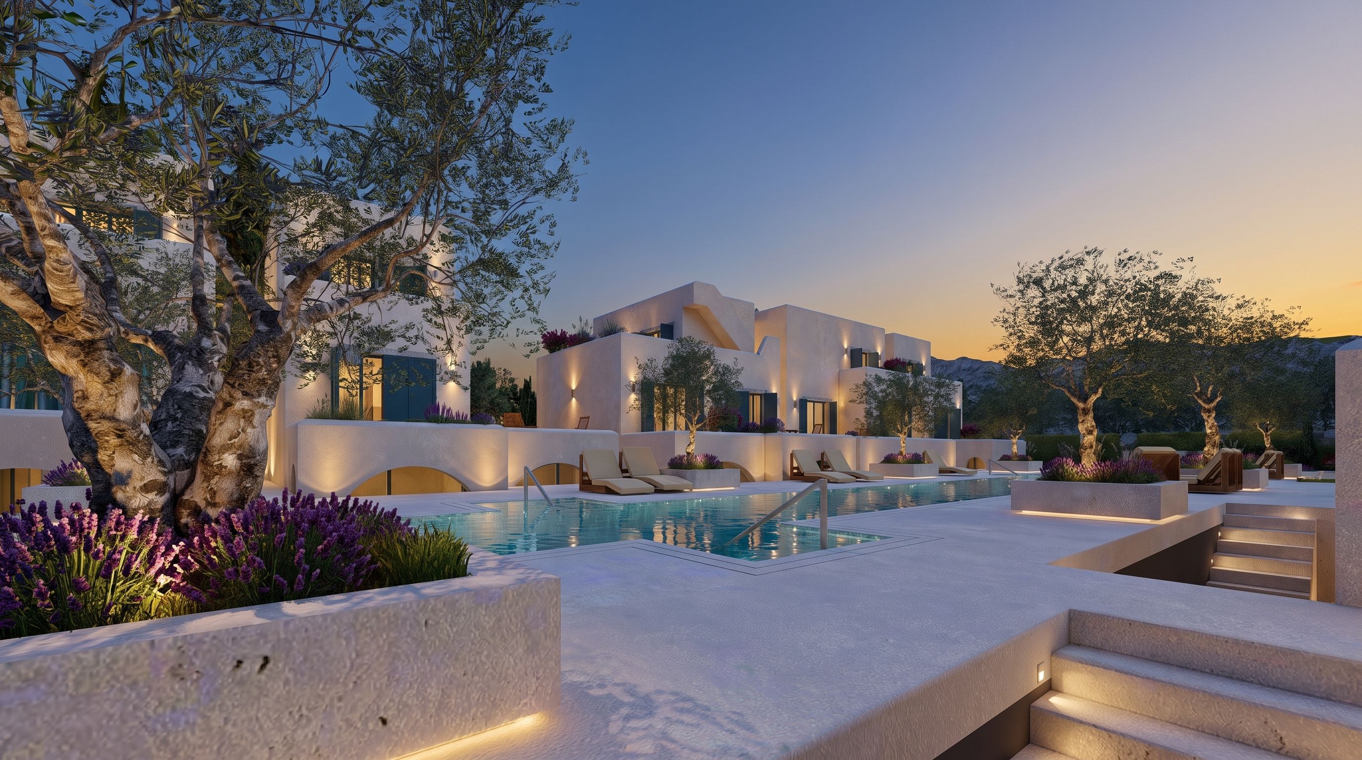 Terrace and olive tree above the pool at the Aquamarine resort on the Albanian Riviera