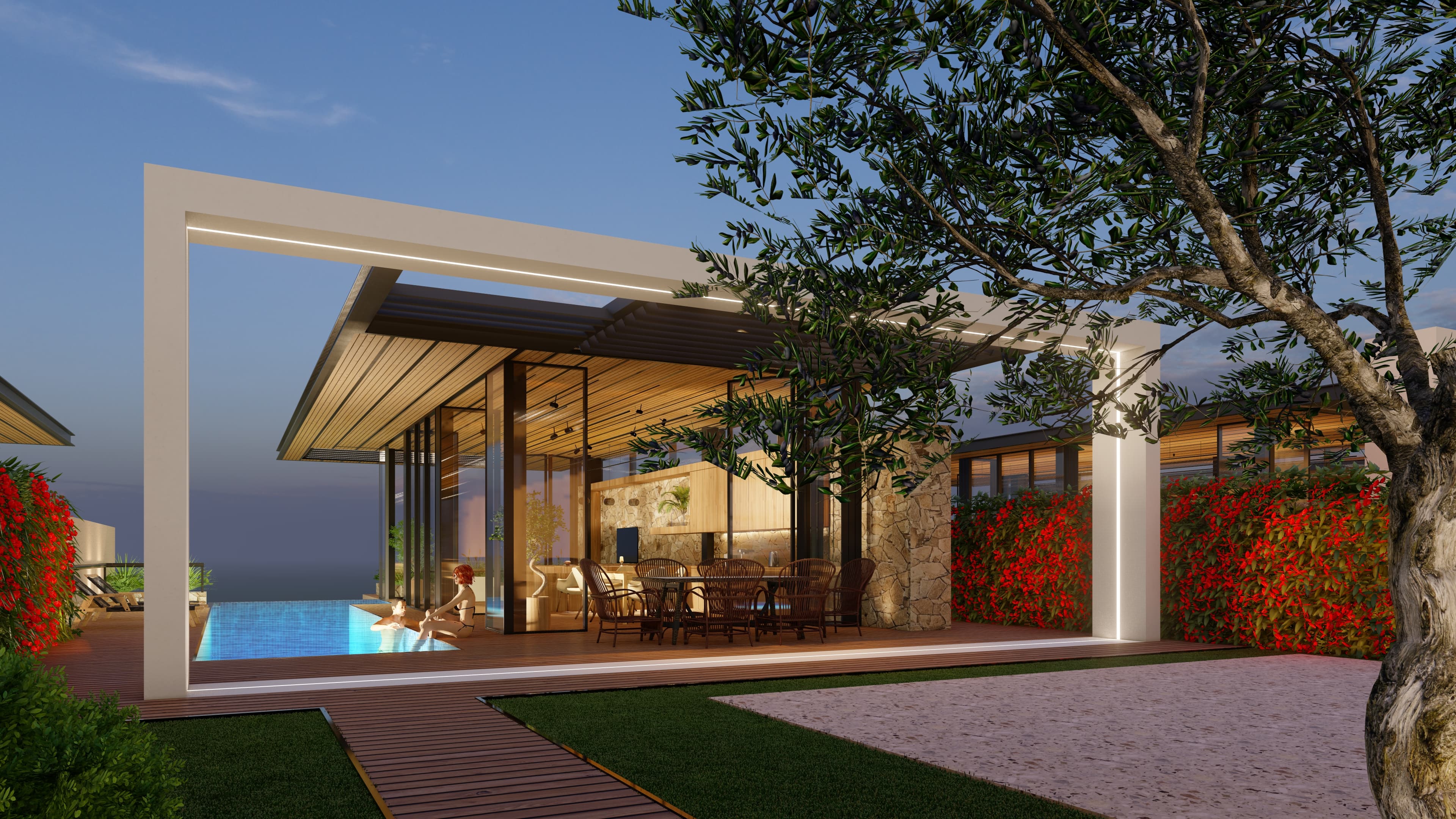 Senia Residence villa in Dhërmi, Albania, a timber-lined roof cantilevering over a pool terrace framed by an olive tree