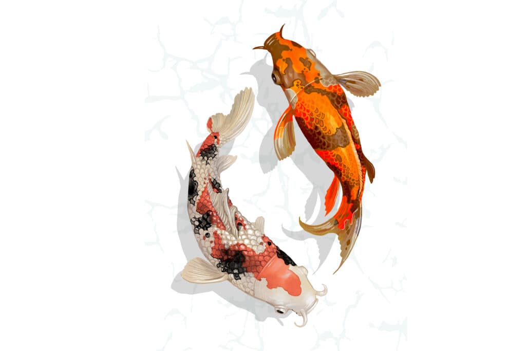 Koi RESIDENCE